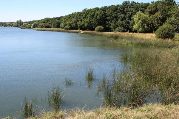 Réserve naturelle nationale de St Quentin