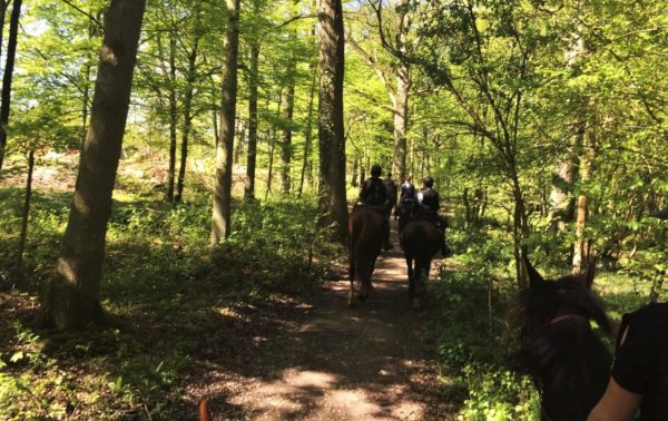 Activités dans les Yvelines Activités dans les Yvelines