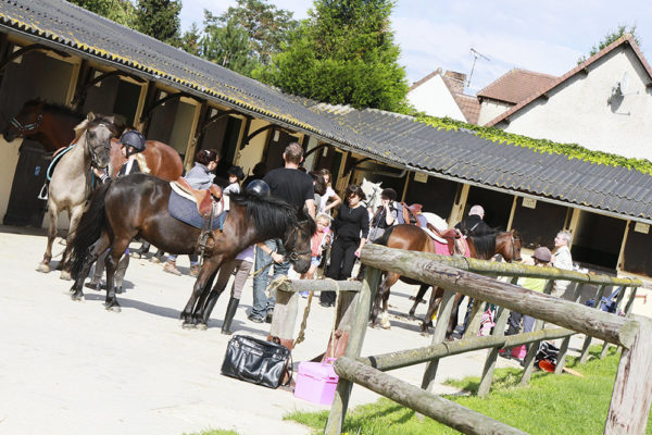 Haras des Vignes Tacoignières